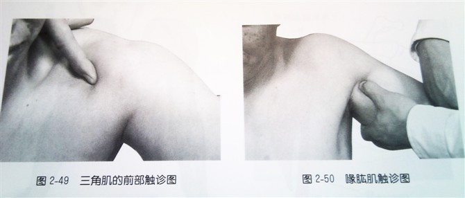 天民针刀体表定位肩部