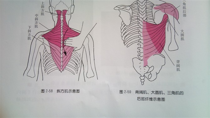 天民针刀体表定位肩部