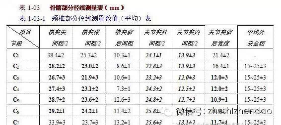 脊柱骨骼部分径线测量表