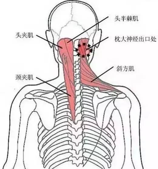 枕后乳突压痛点