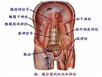 腰从神经天民针刀