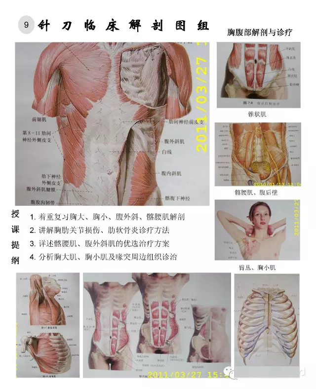 临床解剖图谱