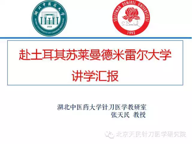 张天民教授土耳其针刀学习交流