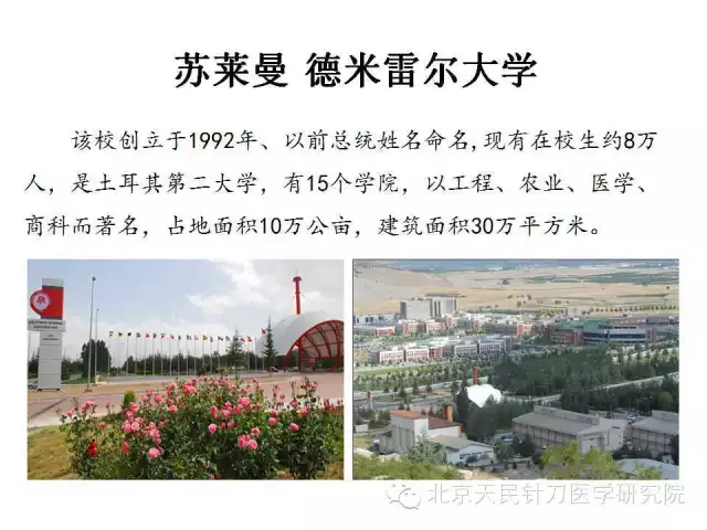 张天民教授土耳其针刀学习交流