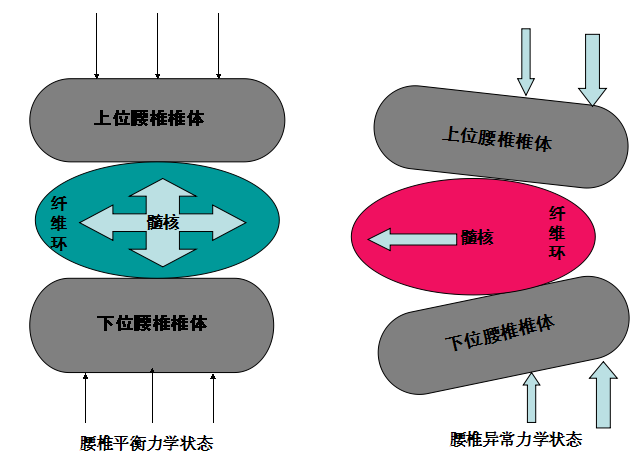 图108腰椎力学示意图