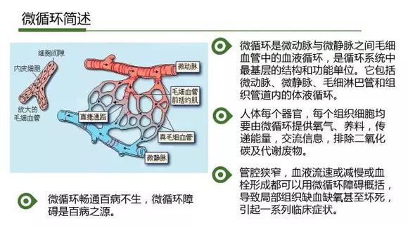 北京天民针刀医学研究院