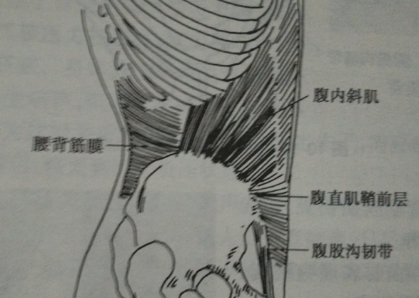 北京天民针刀医学研究院