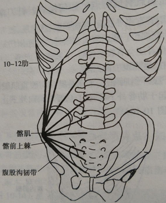 北京天民针刀医学研究院