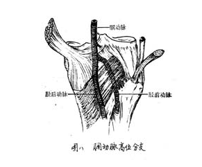 膝关节触诊