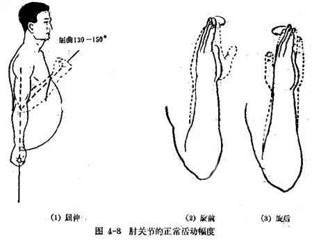 上肢及肩部的体格检查