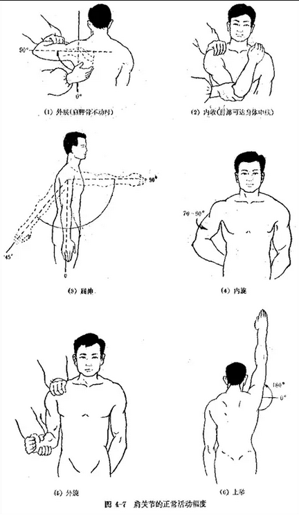 上肢及肩部的体格检查