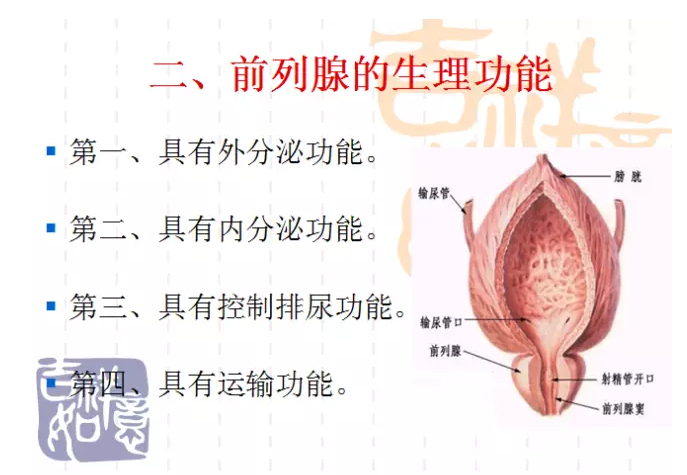 针刀治疗前列腺