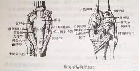 针刀治疗风湿性关节病