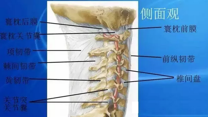 针刀治疗颈椎病