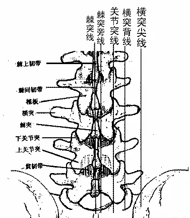 针刀腰椎辨位辨证