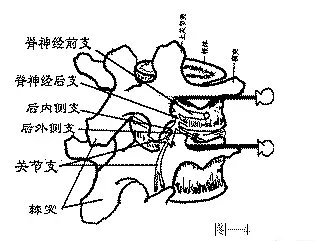 针刀腰椎辨位辨证