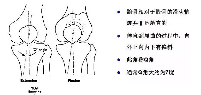 天民针刀解剖关节腔