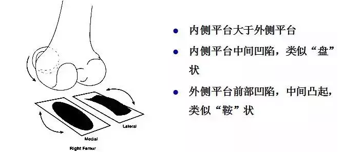 天民针刀解剖关节腔