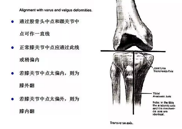 天民针刀解剖关节腔