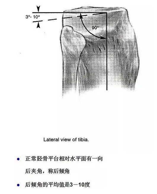 天民针刀解剖关节腔