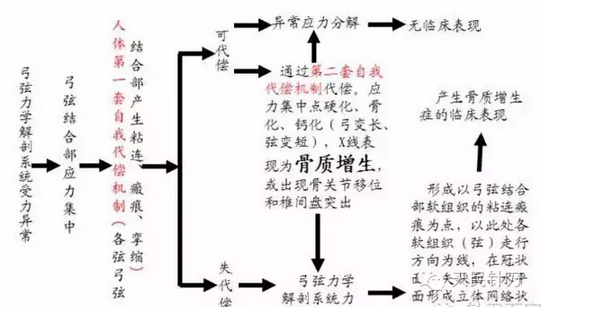 针刀治疗骨质增生的新认识及研究方向