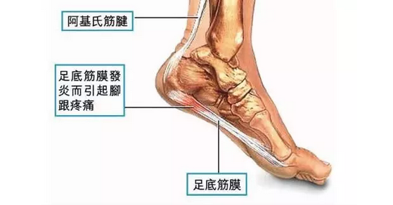 北京天民针刀医学研究院