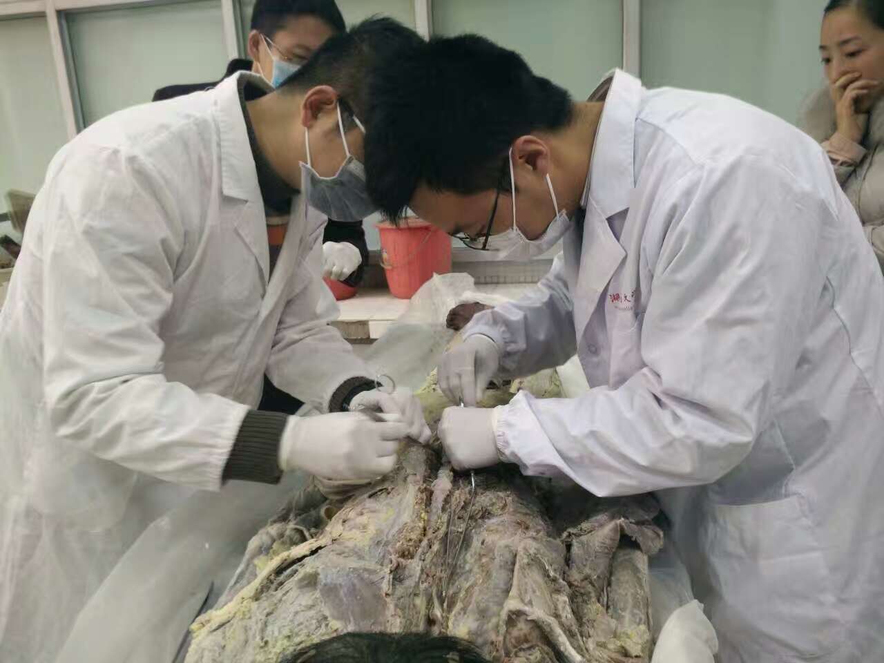 北京天民针刀医学研究院第二十届针刀整体松解术解剖班