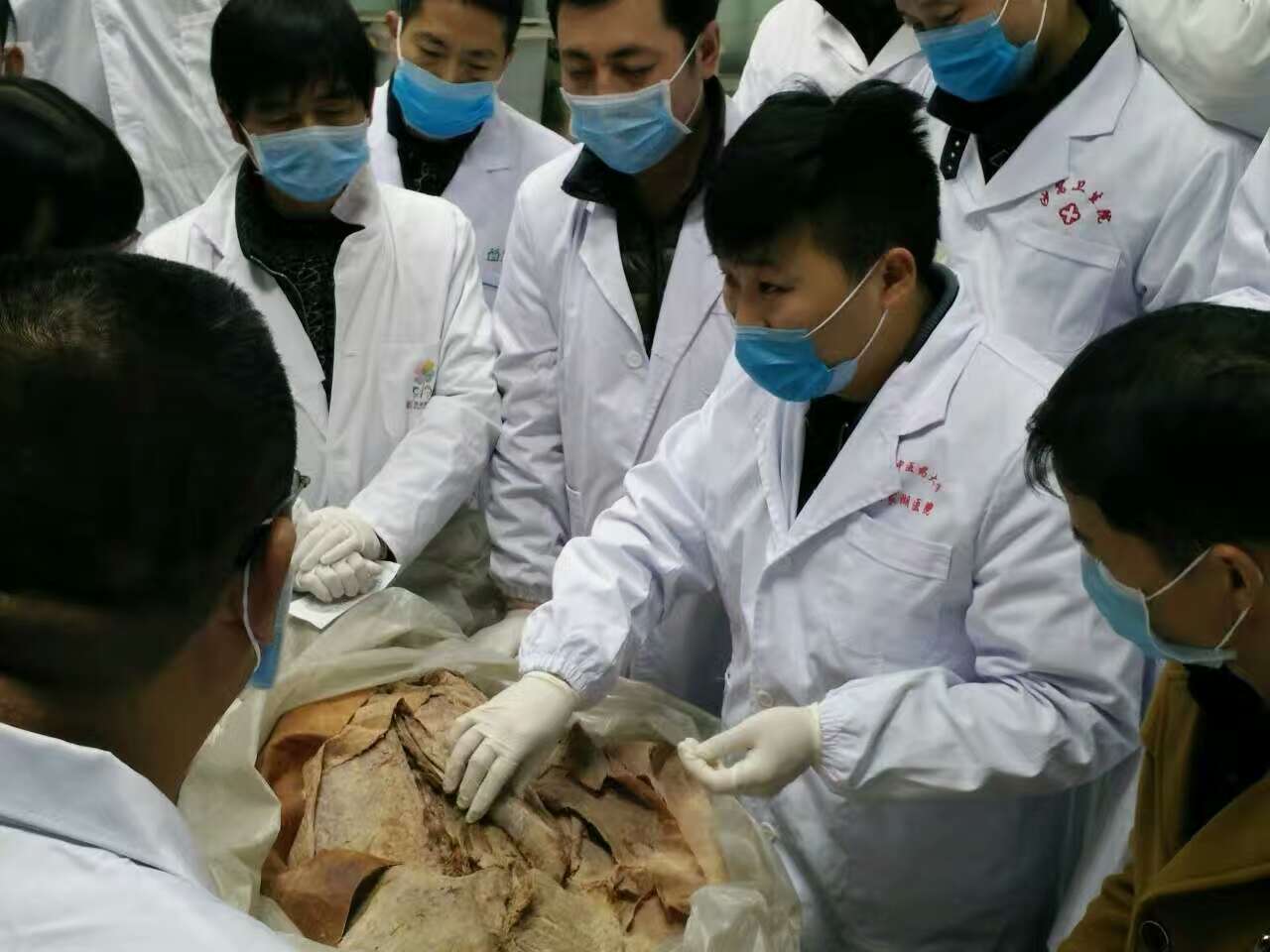 北京天民针刀医学研究院第二十届针刀整体松解术解剖班