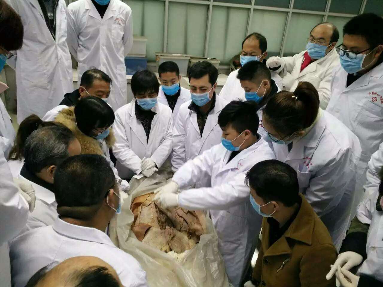 北京天民针刀医学研究院第二十届针刀整体松解术解剖班