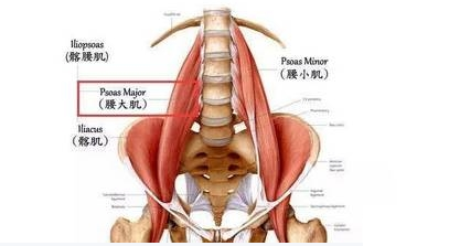 腰腿痛腰椎滑脱