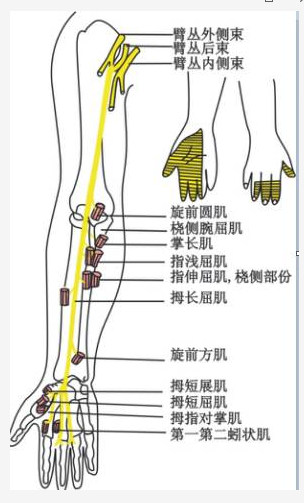 上肢疾病天民针刀诊疗