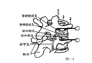 北京天民针刀医学研究院